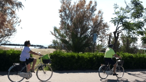 vlcsnap-2014-07-11-16h48m31s106